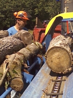 Biomass Heating System Harvard Forest